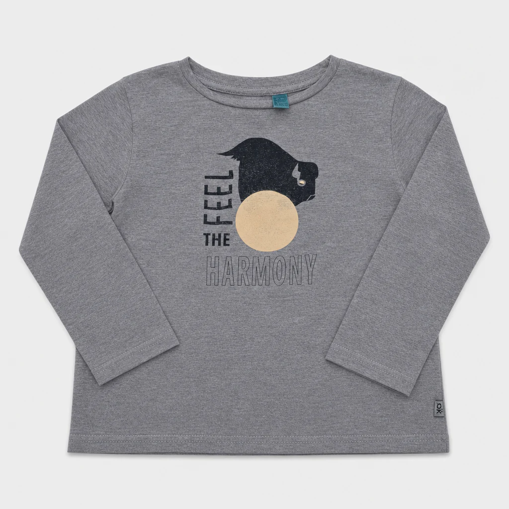 Maglietta maniche lunghe - Bambino - 102 - 107 | 4 anni